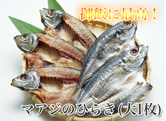 マアジのひらき 大1枚